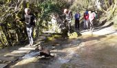 Tocht Stappen Pont-en-Royans - Grotte Balme Rousse - Photo 3