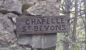 Excursión Senderismo Bevons - BEVONS. TOUR DE PENSIER .LE COLLET. CHAPELLE ST BEVONS. PAS DE L ESSAILLON. LA FAYEE. O L M S - Photo 11