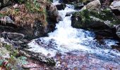 Tour Wandern Jalhay - Légendes et forêt enchantée à Solwaster. (Promenade 57)  - Photo 4