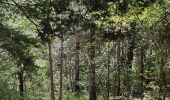Trail Walking La Roche-des-Arnauds - Serigons - Rabou par petit Buëch  - Photo 10
