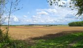 Trail Walking Havelange - Barvaux en Condroz 220425 - Photo 9