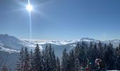Percorso Racchette da neve Saint-Jean-de-Sixt - Le panorama du Danay (14) - Photo 17