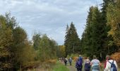 Tour Wandern Aywaille - Harzé - Photo 4