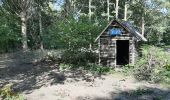 Percorso Marcia Viroinval - Forêt de Nismes - Regniessart - Photo 2