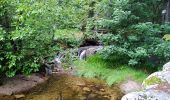 Tour Wandern Urbeis - Les deux lacs - Photo 6