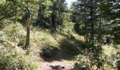 Trail Walking Autrans-Méaudre en Vercors - Autrans - Gève - Bec de l'Orient - La Buffe - Photo 4