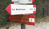 Tour Zu Fuß Vaglia - Sentiero CAI 16 - Photo 9