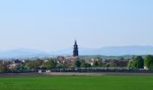 Randonnée Marche Maringues - Maringues_Butte_Montgacon - Photo 1