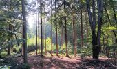 Trail Walking Spa - artistes . nelis . geronster . meyerber . artistes  - Photo 5