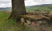 Trail Walking Saint-Pierre-le-Vieux - La Grotte de Saint Pierre le vieux  - Photo 16