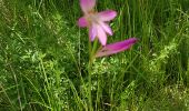 Trail Walking Saint-May - SAINT MAY - BOUCLE PLATEAU SAINT LAURENT - Photo 16