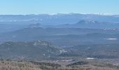 Tour Wandern Mazaugues - Mourre d'Agnis  - Photo 10