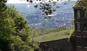 Trail Walking Liège - rando la plus bucolique sur les coteaux rive gauche de la meuse - Photo 14