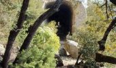 Tour Wandern La Roquebrussanne - 10844300-chapelle st andre ,grotte 400 moutons source oris - Photo 1