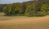 Tour Zu Fuß Pommelsbrunn - Hunas-Rundweg um Pommelsbrunn - Photo 1