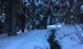 Randonnée Raquettes à neige Orsières - Champex Lac - Arpette - Champex Lac - Photo 14