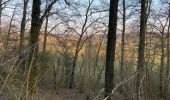 Tour Wandern Viroinval - Roche à Lomme 3 - Photo 3