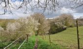 Trail Walking Profondeville - Burnot - Arbre - Annevoie - Photo 2