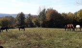 Tour Mountainbike Crosey-le-Petit - Crosey le petit , le grand, Servin. - Photo 2