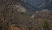 Randonnée Marche Les Ferres - les ferres pont de la cerise  - Photo 6