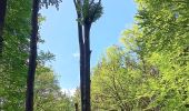 Trail Walking Jalhay - mon 8 de la statte  - Photo 4