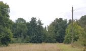 Trail Walking Rennepont - maranville - Photo 13
