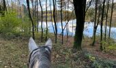 Trail Horseback riding Florenville - Les Epioux - Photo 14