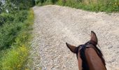 Trail Horseback riding Roybon - Roybon  - Photo 12