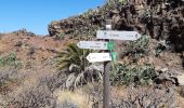 Tour Wandern Vallehermoso - Canaries - La Gomera  - Valle Gran Rey - jour 6 - Photo 3