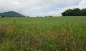 Excursión Marcha nórdica Échirolles - Le Tour de la Frange Verte - Photo 1