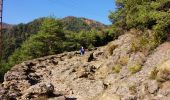 Tocht Te voet la Vall de Bianya - Via Romana del Capsacosta des del Pas dels Traginets - Photo 7