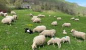 Tour Wandern Lescun - Belvédère de Lescun - Photo 1