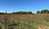 Tour Wandern Le Castellet - Le BRÛLÂT - Photo 3