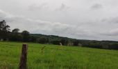 Tocht Stappen Gouvy - la ferme de la Hé Cierreux - Photo 8