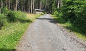 Tour Wandern Manhay - rando deux rys 29/06/2020 - Photo 1