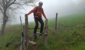 Trail Walking Chindrieux - SAPENAY - CLERGEON - GRANDE CUVE - GROS FOUG : 22 km - Photo 1