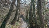 Trail Walking Réauville - Reauville-Montjoyer-Aiguebelle 17km - Photo 2