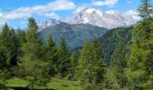 Randonnée Marche Selva di Cadore - Pian Di Possoliva - Photo 8