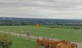 Tour Rennrad Molsheim - Molsheim - Turckheim  - Photo 5