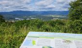 Tour Elektrofahrrad Schert - VTT - Essert - Salbert - Vétrigne - Miotte - Citadelle Belfort - Essert - Photo 3