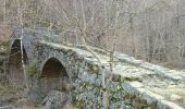 Trail Walking Montpezat-sous-Bauzon - Balade-Le Villaret-La Forêt- Les Malfaugères - Photo 1