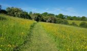 Trail Walking Gulpen-Wittem - 2021-06-01_20h11m06_835 - Photo 1