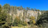 Randonnée A pied Sebnitz - Blauer Strich, Sächsische Schweiz (rechtselbisch) - Photo 8