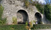 Tour Wandern Tournai - ✅ La balade des roctiers d’Allain - Photo 1