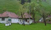 Percorso A piedi Sconosciuto - Moieciu de Sus - Șaua Strunga - Cabana Padina - Photo 3