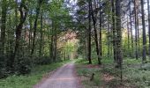 Randonnée Marche nordique Aywaille - trek2306 remouchamps . ninglinspo . Vert-Buisson . berinzenne . source sauveniere . niveze . sart . royonpré . polleur . chawion . theux . hodbomont . forestia . remouchamps  - Photo 12