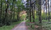 Tocht Noords wandelen Aywaille - trek2306 remouchamps . ninglinspo . Vert-Buisson . berinzenne . source sauveniere . niveze . sart . royonpré . polleur . chawion . theux . hodbomont . forestia . remouchamps  - Photo 12