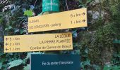 Tour Wandern Lussan - les concluses - Photo 13