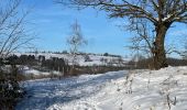 Tour Wandern Olne - Réserve Olne st Hadelin Hansez - Photo 1