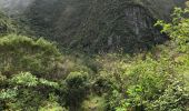 Tour Wandern Cilaos - Bonnet de prêtre mag papa lol - Photo 5